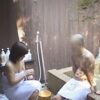 Thumbnail of new posts 069